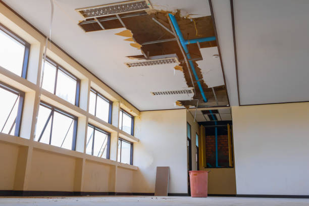 Best Flood damage cleanup  in Fairmount, NY