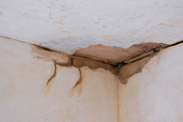 Best Mold removal after water damage  in Fairmount, NY