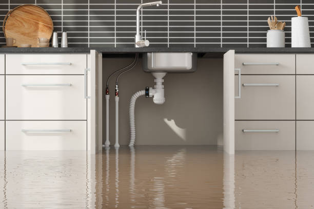 Best Emergency water extraction  in Fairmount, NY