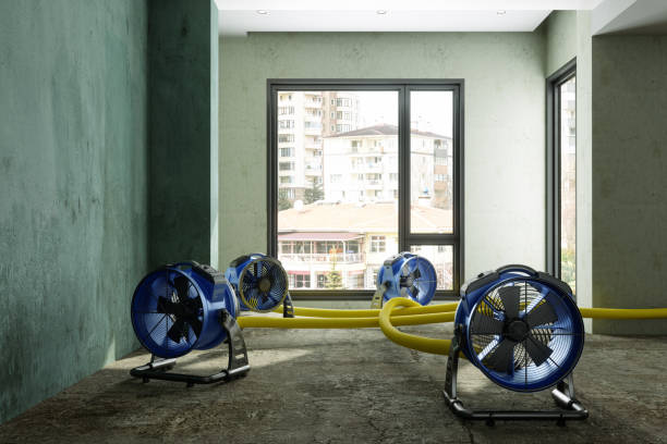 Best Residential water damage restoration  in Fairmount, NY